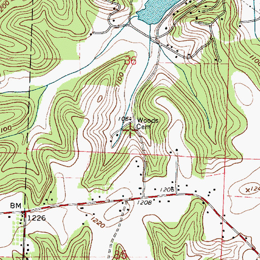 Topographic Map of Woods Cemetery, OH