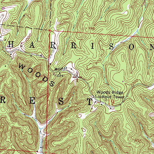 Topographic Map of Woods Ridge, OH