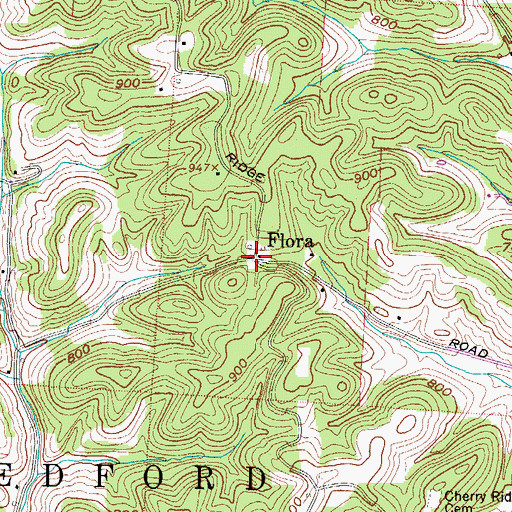 Topographic Map of Flora, OH