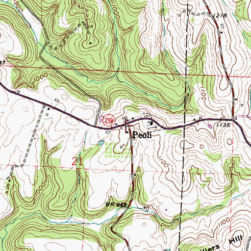 Topographic Map of Peoli, OH