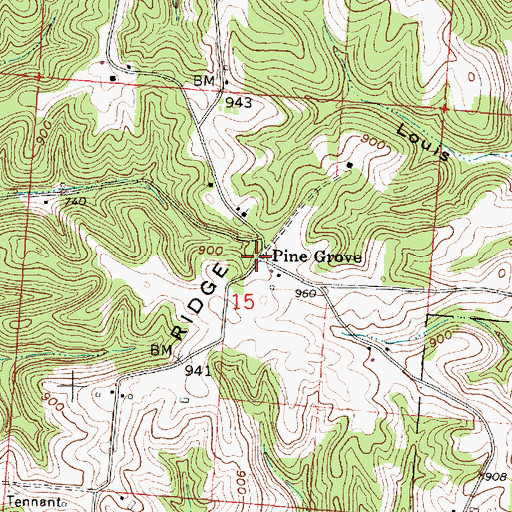 Topographic Map of Pine Grove, OH