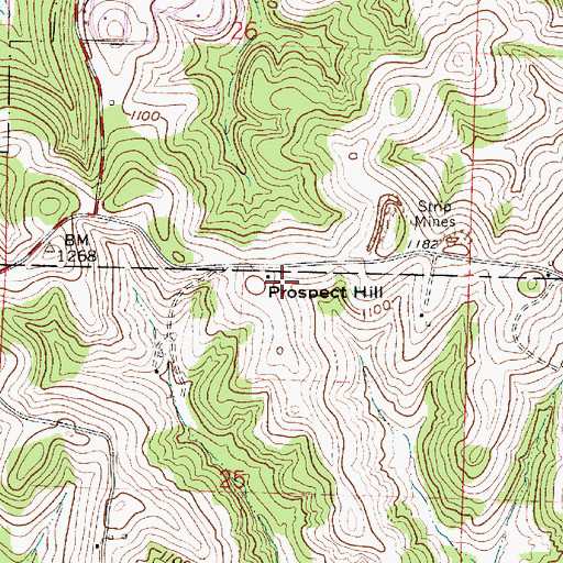 Topographic Map of Prospect Hill, OH
