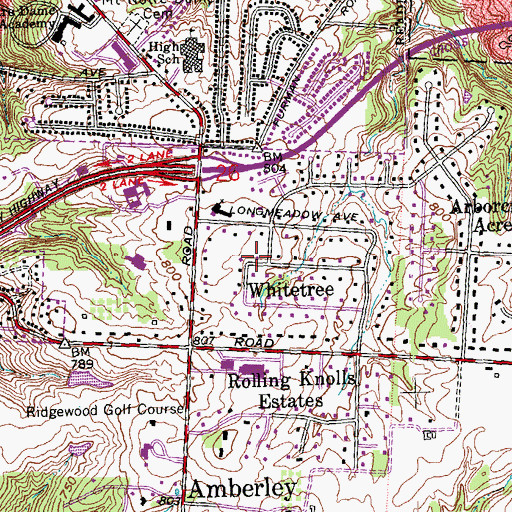 Topographic Map of Whitetree, OH