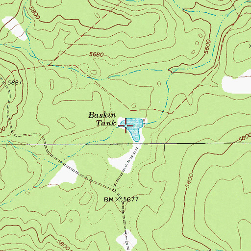 Topographic Map of Baskin Tank, AZ