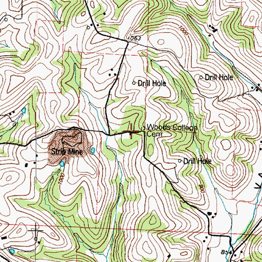 Topographic Map of Woods School (historical), OH