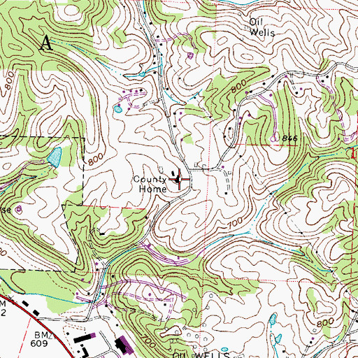Topographic Map of Washington County Home, OH