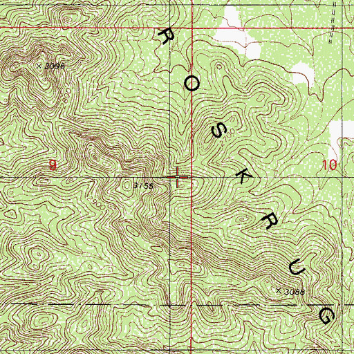 Topographic Map of Roskruge Mountains, AZ