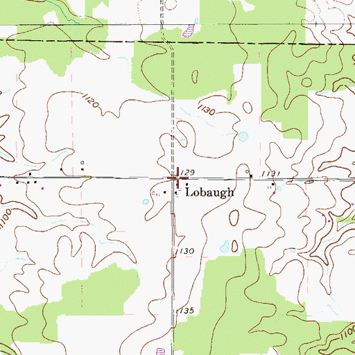 Topographic Map of Lobaugh, OH