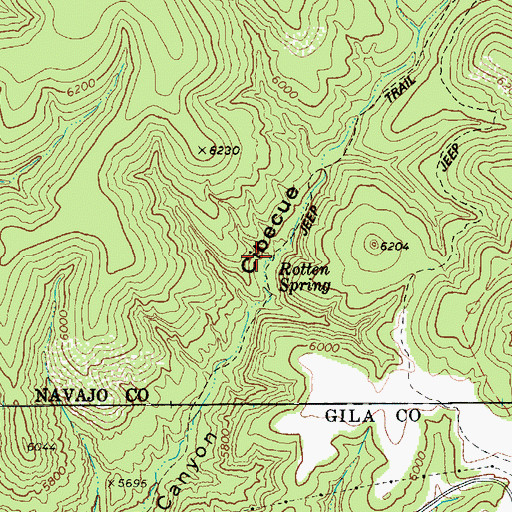 Topographic Map of Rotten Spring, AZ