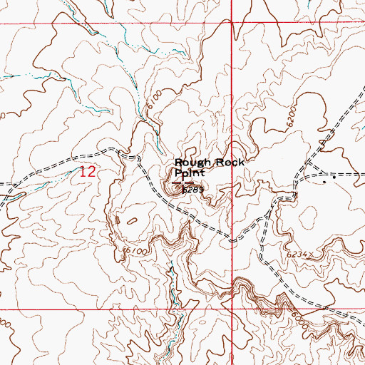 Topographic Map of Rough Rock Point, AZ