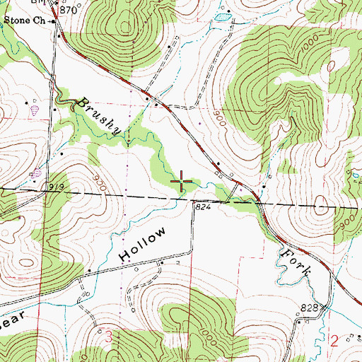 Topographic Map of Bear Run, OH