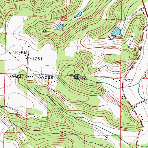 Topographic Map of Chestnut Ridge School (historical), OH