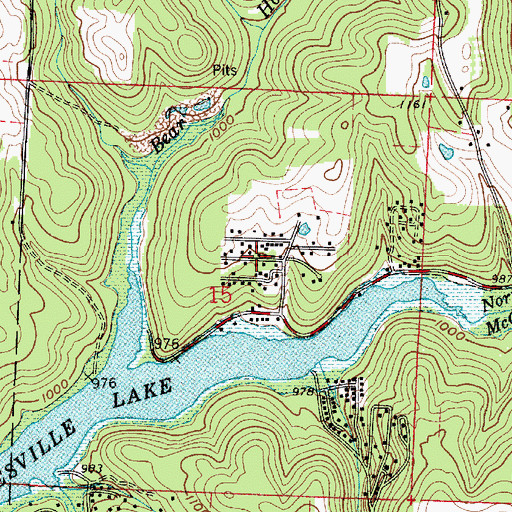 Topographic Map of Piney View, OH