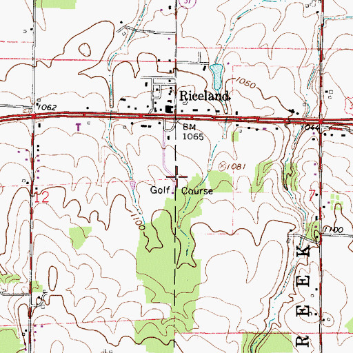 Topographic Map of Riceland Golf Course, OH