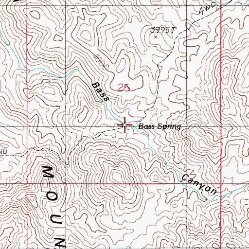 Topographic Map of Bass Spring, AZ