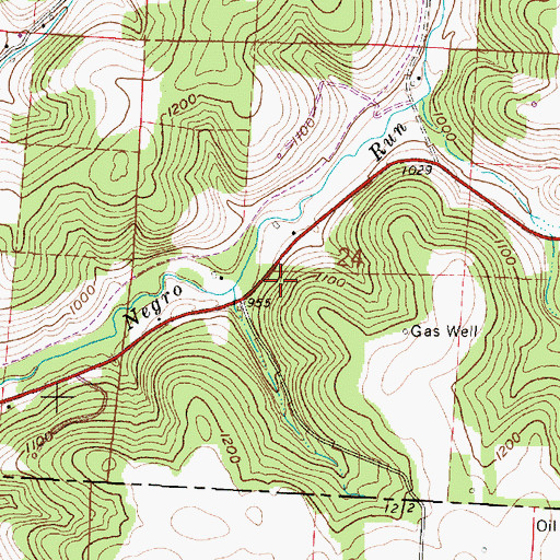Topographic Map of Negro Run School (historical), OH