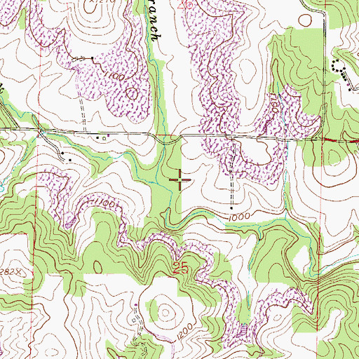 Topographic Map of Leas Branch, OH