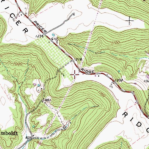 Topographic Map of Pricer Ridge, OH
