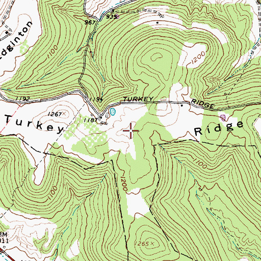 Topographic Map of Turkey Ridge, OH