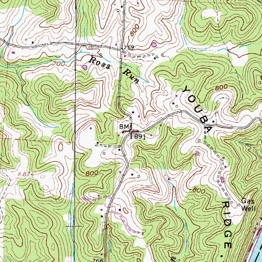 Topographic Map of Youba, OH