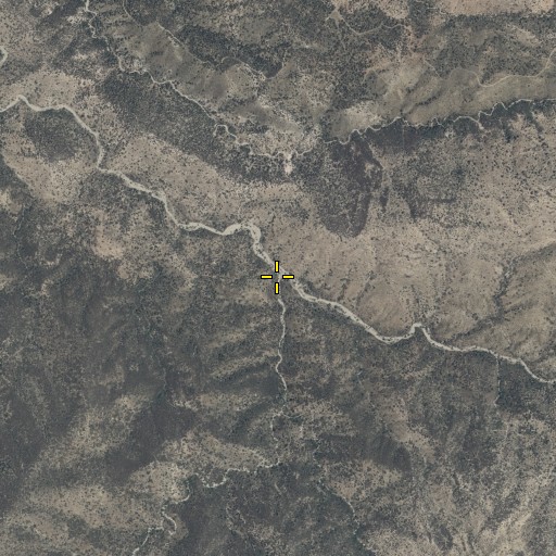 Aerial/Satellite Image of Rustler Park Canyon, AZ