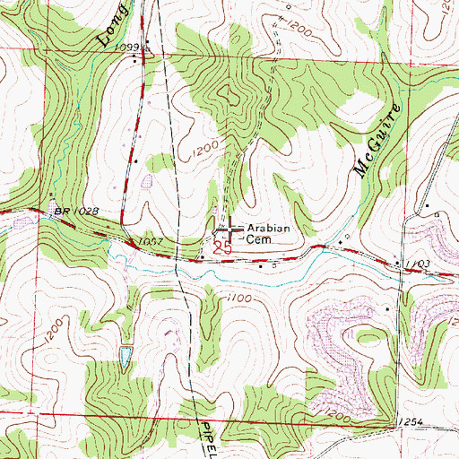 Topographic Map of Arabia Cemetery, OH