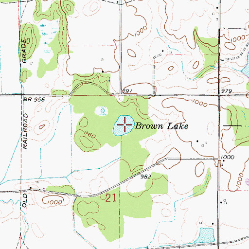 Topographic Map of Brown Lake, OH