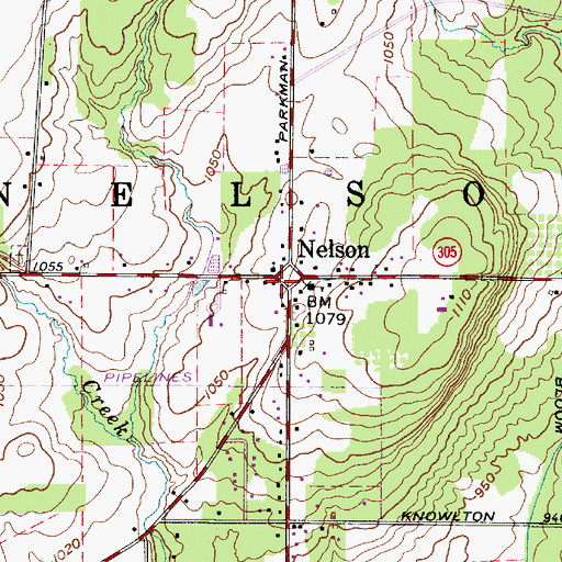 Topographic Map of Nelson, OH