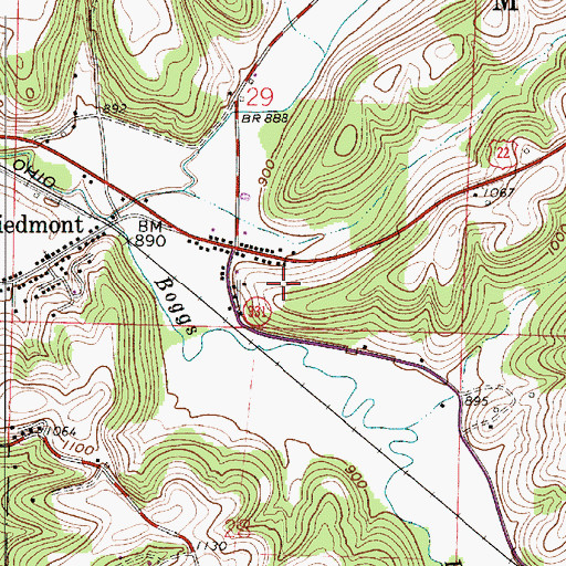Topographic Map of Piedmont, OH