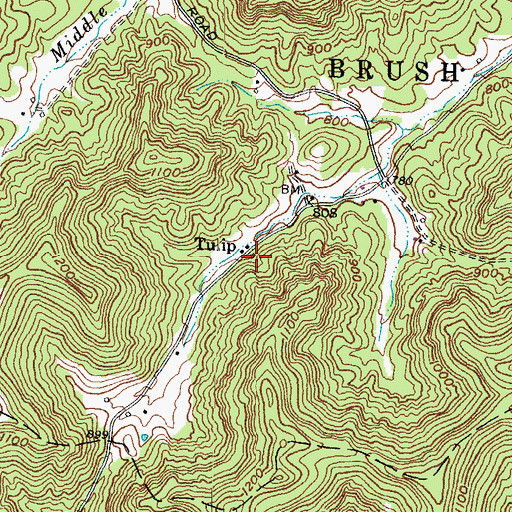 Topographic Map of Tulip, OH