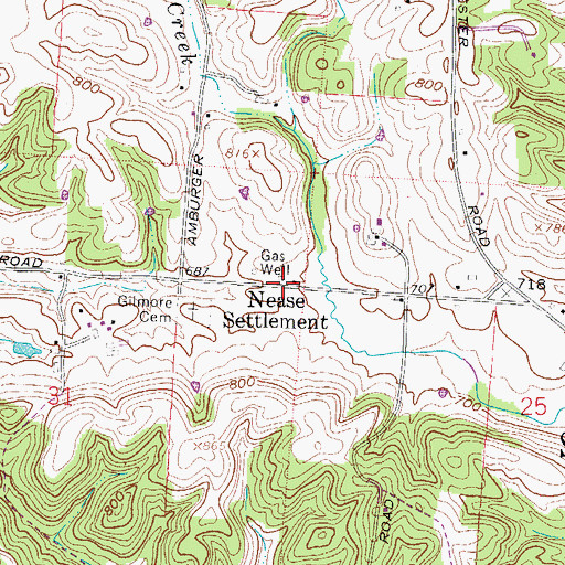 Topographic Map of Nease Settlement, OH