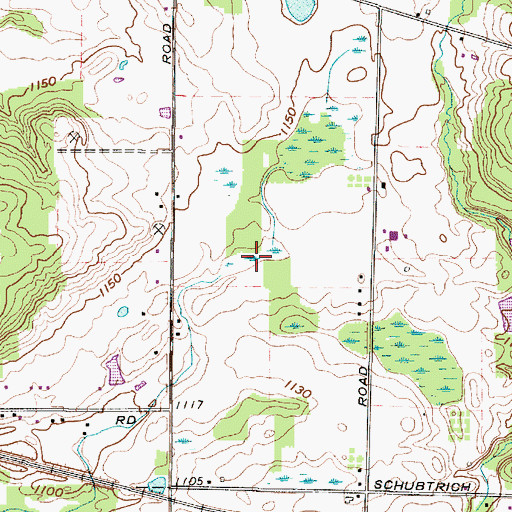 Topographic Map of Mantua Swamp, OH