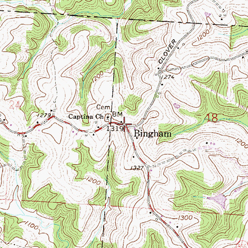 Topographic Map of Bingham, OH
