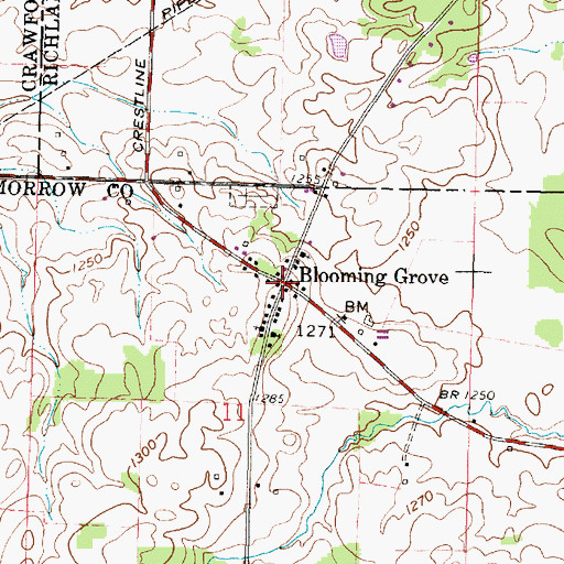 Topographic Map of Blooming Grove, OH