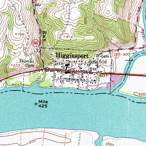 Topographic Map of Higginsport, OH