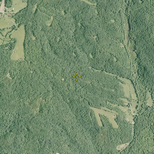 Aerial/Satellite Image of Coon School (historical), OH