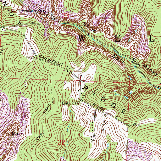 Topographic Map of Chestnut Ridge, OH