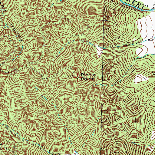 Topographic Map of Picnic Point, OH