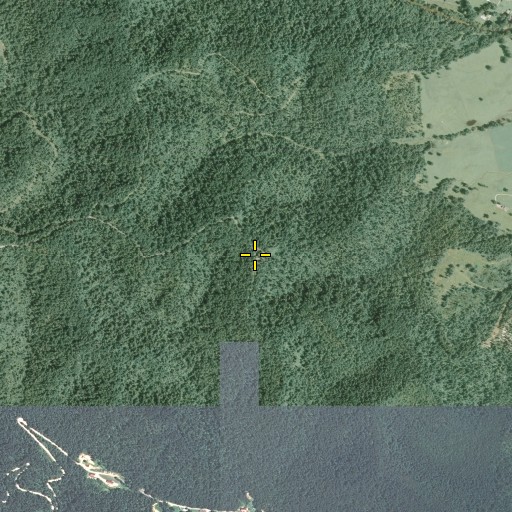 Aerial/Satellite Image of Picnic Point, OH