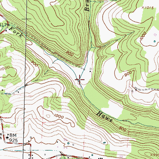 Topographic Map of Brushy Fork, OH