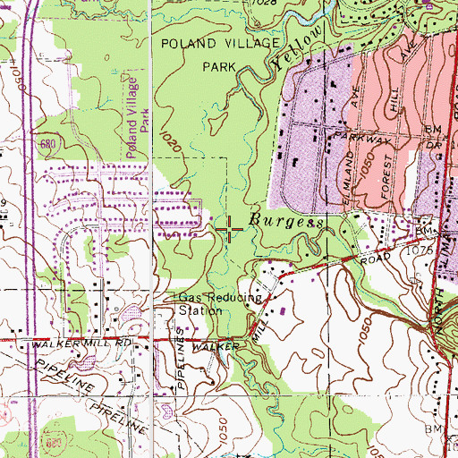 Topographic Map of Burgess Run, OH