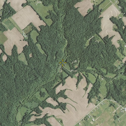Aerial/Satellite Image of Painter Fork, OH