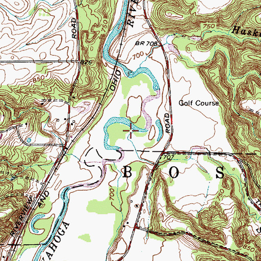 Topographic Map of Salt Run, OH