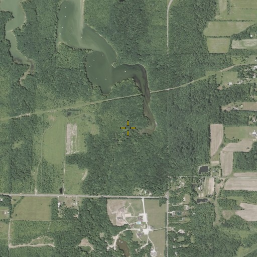 Aerial/Satellite Image of Silver Creek, OH