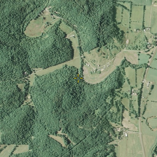 Aerial/Satellite Image of Walker Run, OH