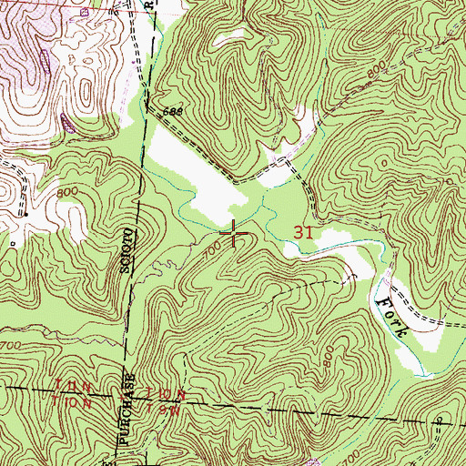 Topographic Map of Wolf Run, OH