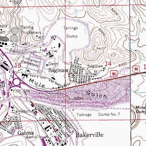 Topographic Map of Saginaw, AZ