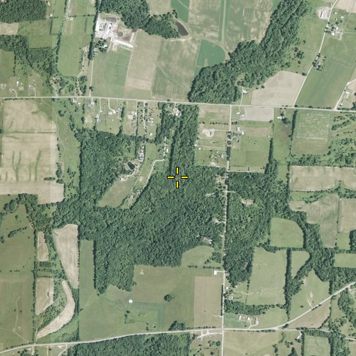 Aerial/Satellite Image of South Run, OH