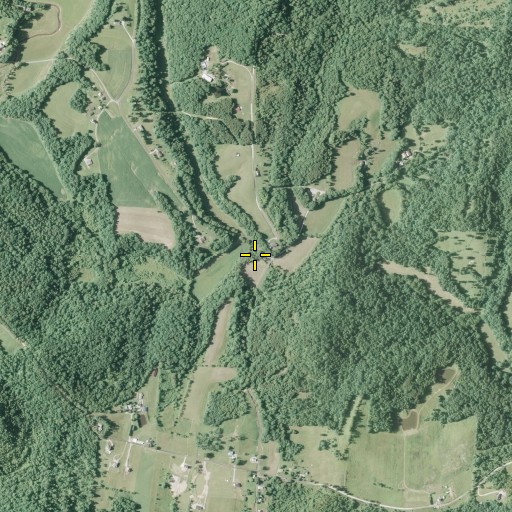 Aerial/Satellite Image of Big Run, OH