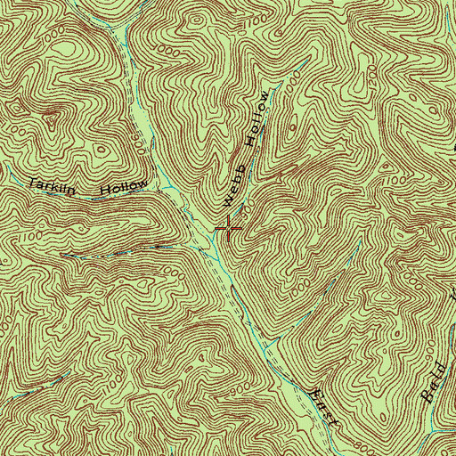 Topographic Map of Webb Hollow, OH
